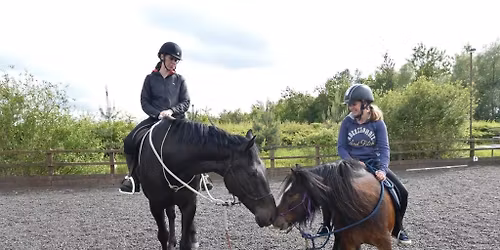 PARELLI LEVEL 2\/3 CAMP with Rachel Shawyer