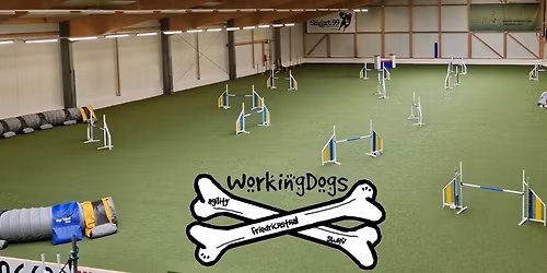 April Turnier in der DWA 