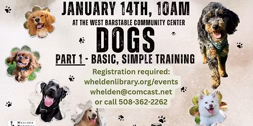 DOGS - Simple, basic training!