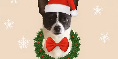 Christmas Pet Photos