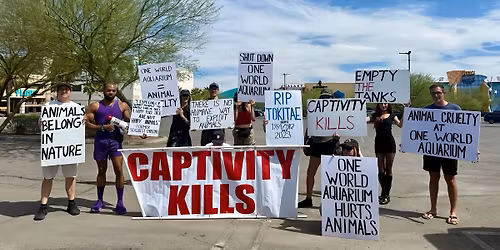 Shut Down One World Interactive Aquarium AKA SeaQuest