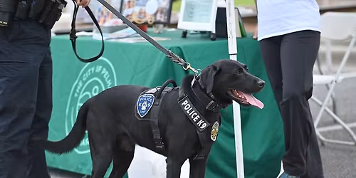 Paws in the Park - Pelham City Park