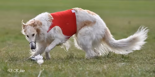 Coursing -Z\u00e1meck\u00fd park