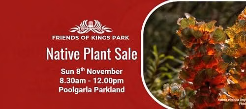 Native Plant Sale