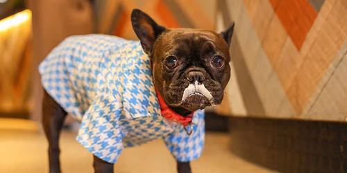 FRENCHIE CAFE - MANCHESTER