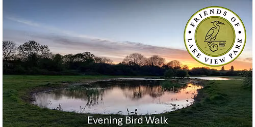 Evening Bird Walk