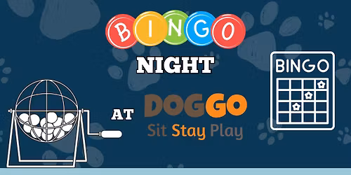 Bingo Night @ the Dog Bar