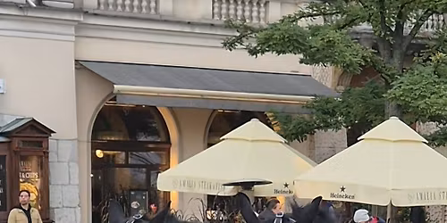 Krak\u00f3w bez doro\u017cek - wolno\u015b\u0107 dla koni! \ud83d\udc34\ud83d\udc94 