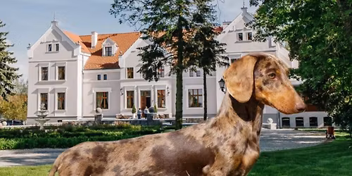 III Krajowa Wystawa Ps\u00f3w My\u015bliwskich