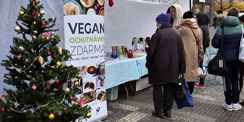 V\u00e1no\u010dn\u00ed vegansk\u00e9 ochutn\u00e1vky pro ve\u0159ejnost 