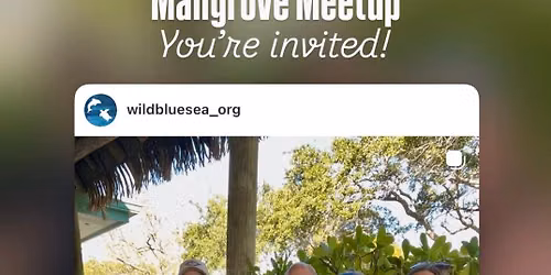 Mangrove Meetup