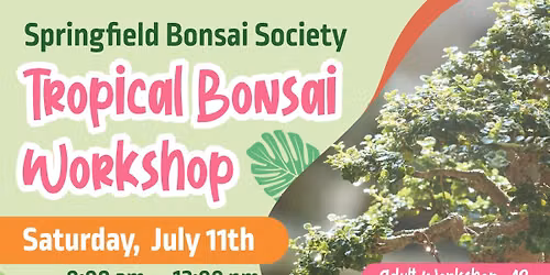 Tropical Bonsai Workshop with the Springfield  Bonsai Society!