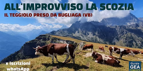 All'improvviso la Scozia! Il Teggiolo preso da Bugliaga (VB)