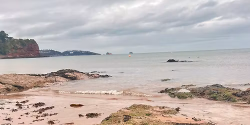 Goodrington Clean-Up!