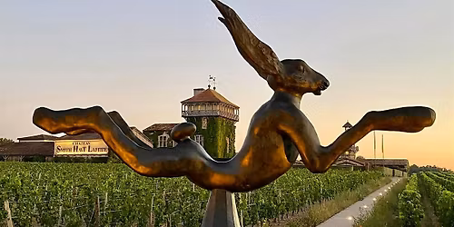 Tracey Dobbin MW talks Bordeaux through the eyes of Smith Haut Lafitte