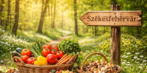 A n\u00f6v\u00e9nyi \u00e9trend \u00e9s gomb\u00e0k a mindennapokban