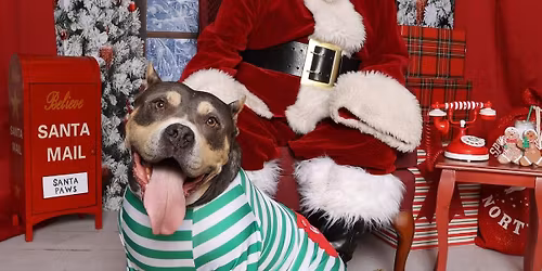 Santa Photos Benefitting Animal Welfare League of Arlington