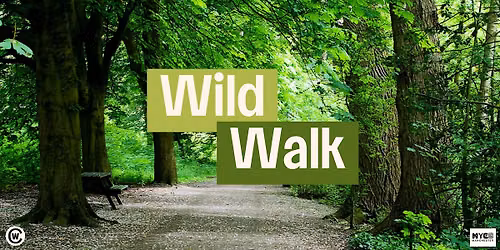 Wild Walk at Fletcher Moss Park