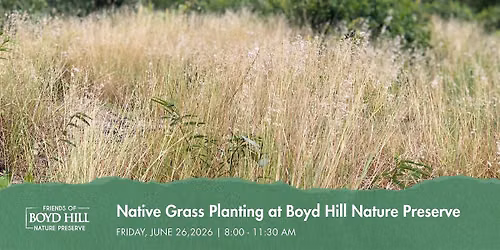 Native Grass Planting at Boyd Hill Nature Preserve