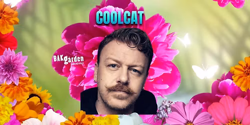 CoolCat