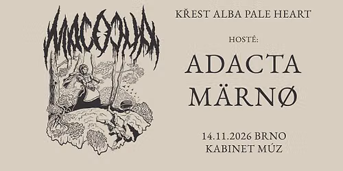 MACOCHA (k\u0159est) + ADACTA + MARNO | KABINET M\u00daZ