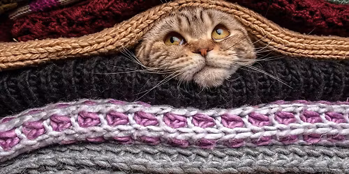 Stickcaf\u00e9 med Stick Opp!