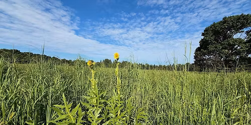 Yoga in the Prairie