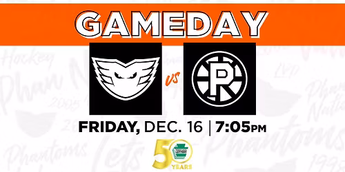 Hartford Wolf Pack vs. Providence Bruins