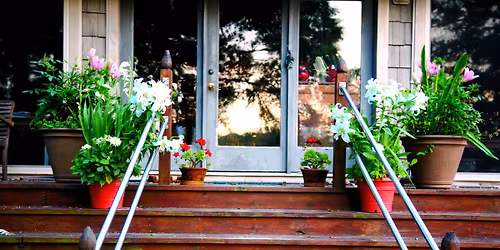Living Flower Arrangement Workshop