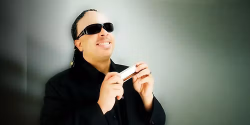 Natural Wonder - Stevie Wonder Tribute