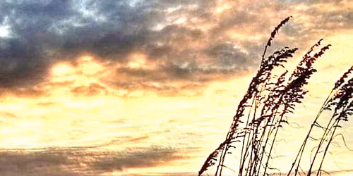 Watercolour Vignettes \u00a318 Lancaster area