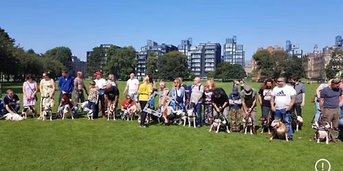 Edinburgh bullie meet 