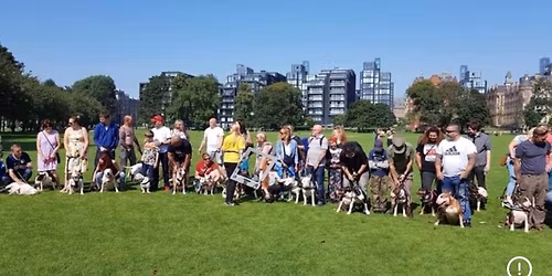 Edinburgh bullie meet