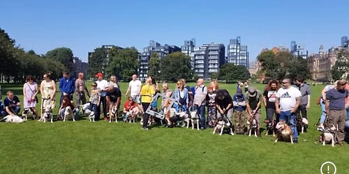 Edinburgh bullie meet