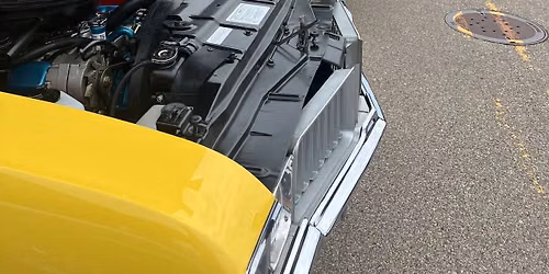 Ada Michigan Classic Car Show