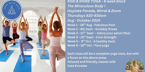 The Miraculous Body - six week block Aug - Oct 2025