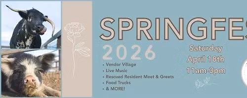 Spring Fest 2026
