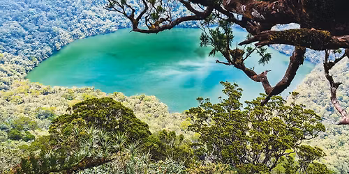 MT TALINIS for INTROVERTS