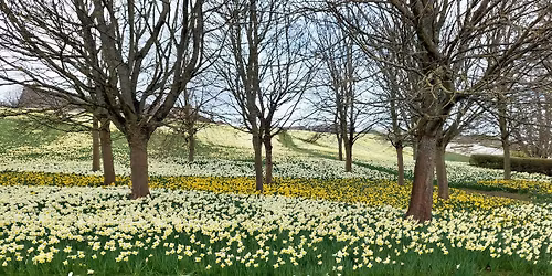 Italian confident beginners\/intermediate classes