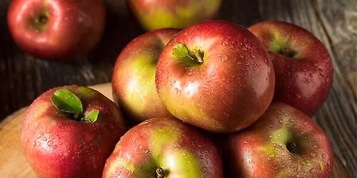 Cider and Mead festival 