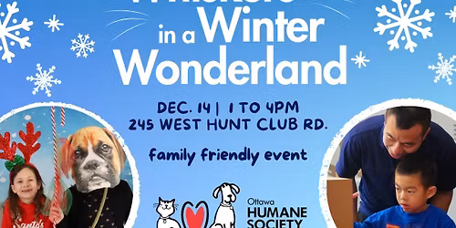 Whiskers in a Winter Wonderland