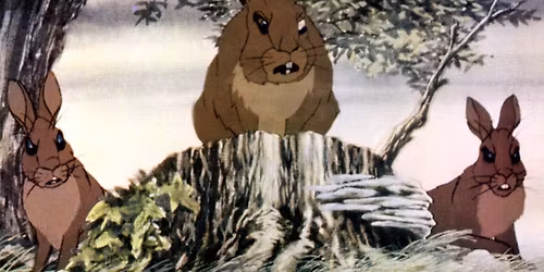 Watership Down \u2013 35mm