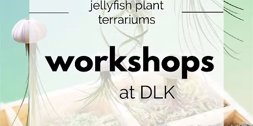 Kids Jellyfish Terrarium Workshop