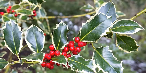 Winter Magic: Card-making of Love, Light, & Hope (Family Friendly)