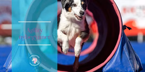 Agility nybegynnerkurs - helg