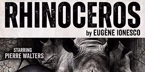 The Rhino Gathering\u2014Where Theatre Owns the Night