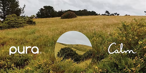 Pura x Calm present: The Scents of Calm Immersive Experience