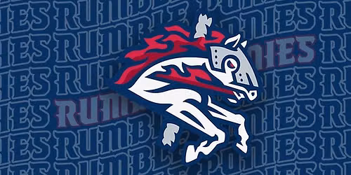 HLL Night at the Binghamton Rumble Ponies