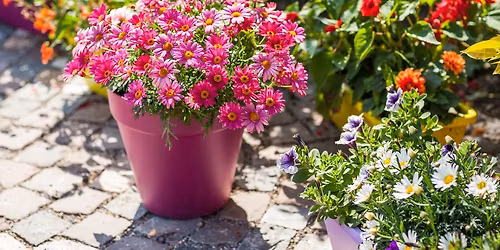 Painted Flower Pots