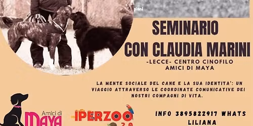 Status \/ Ruolo \/ Rango